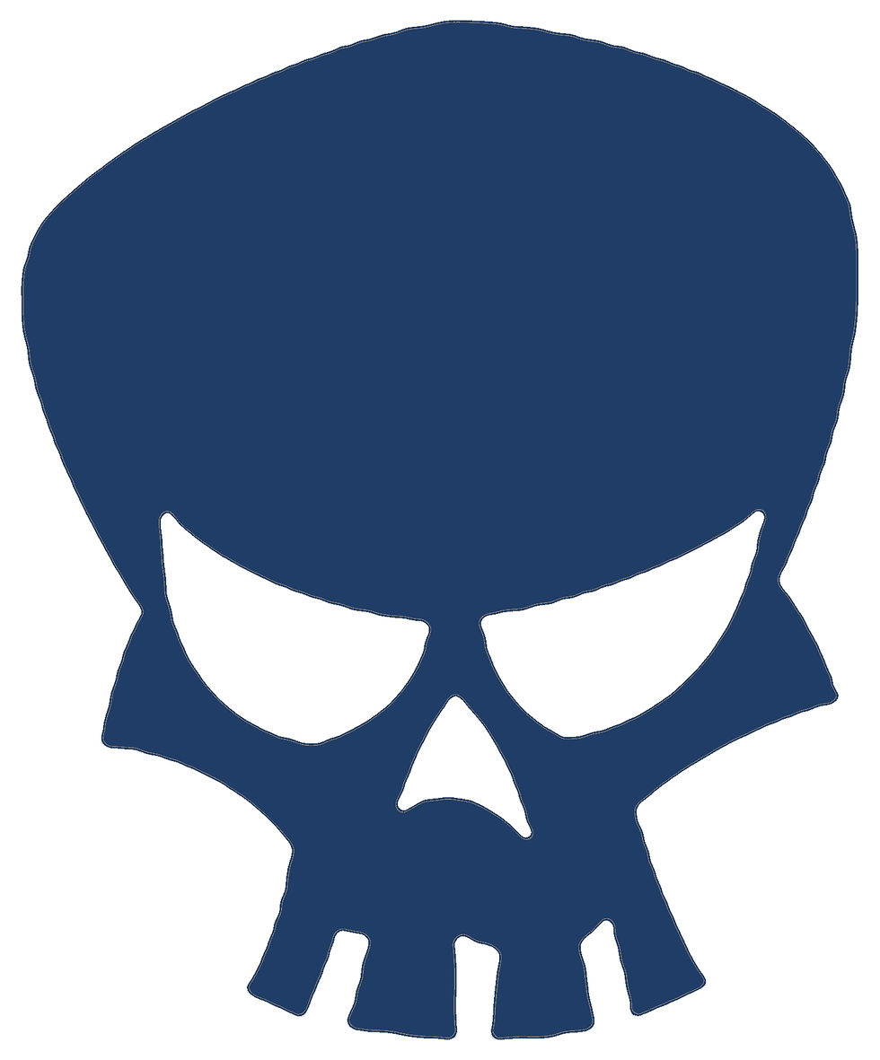Thumbnail: Large Skull