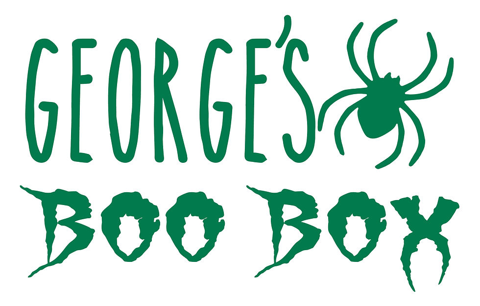 Thumbnail: Personalised name, Vinyl Transfer Label for Halloween Boo Box