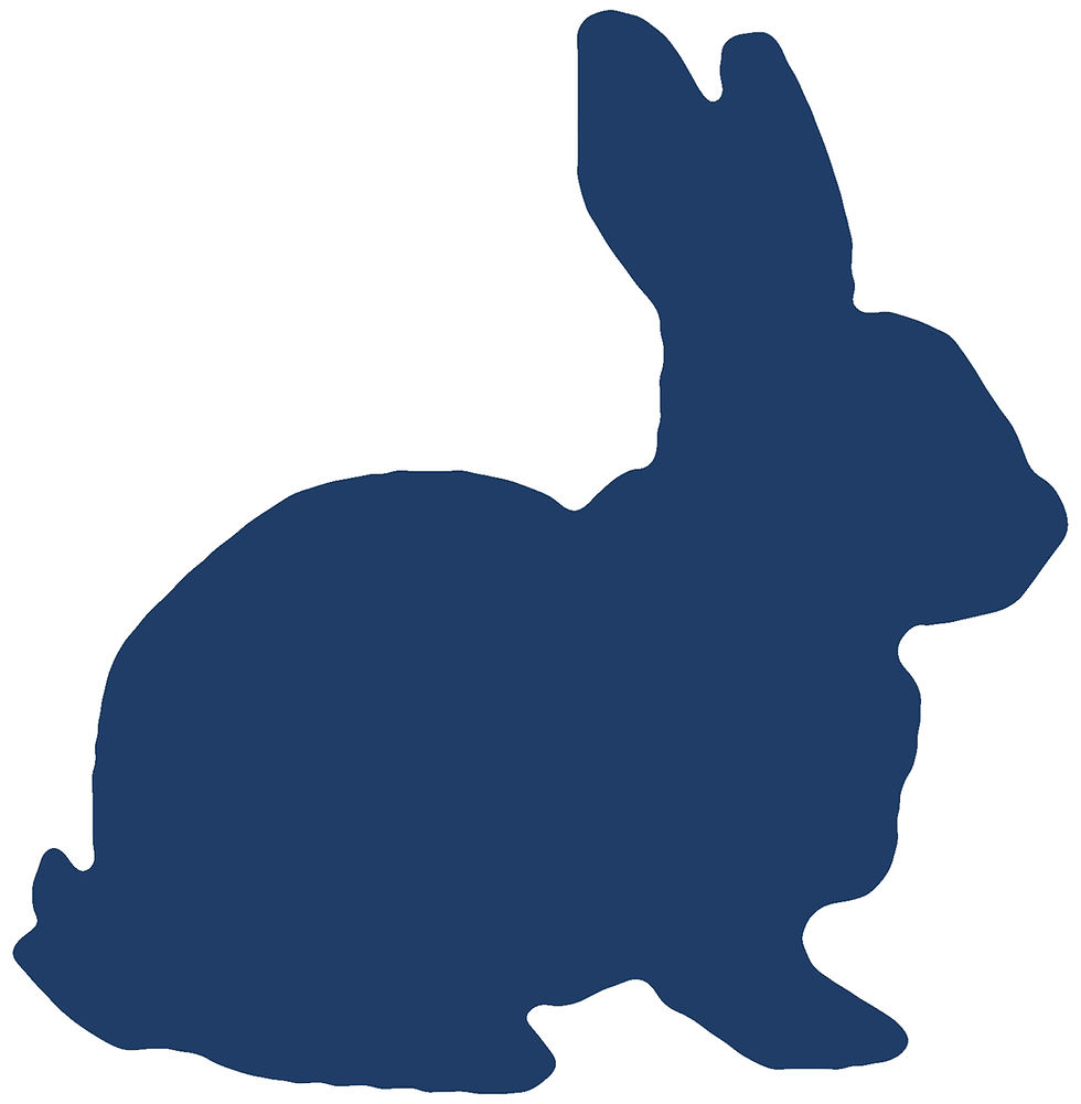 Thumbnail: Large Rabbit, Easter Bunny