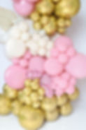 HBDC Image 2.jpg