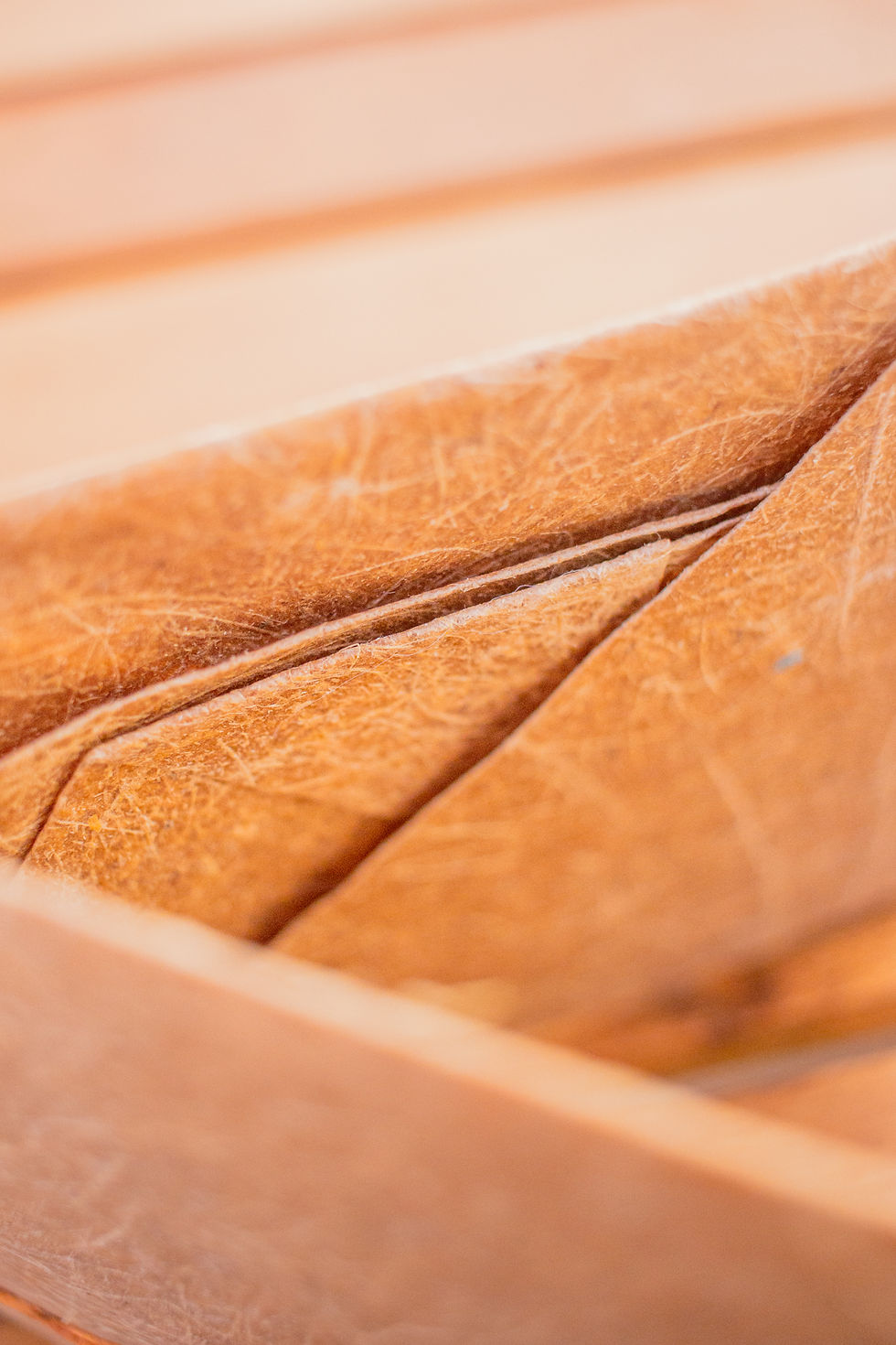 Billetera Artesanal de Papel - Bosque Guardian