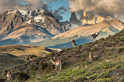 PATAGONIA TORRES DEL PAINE