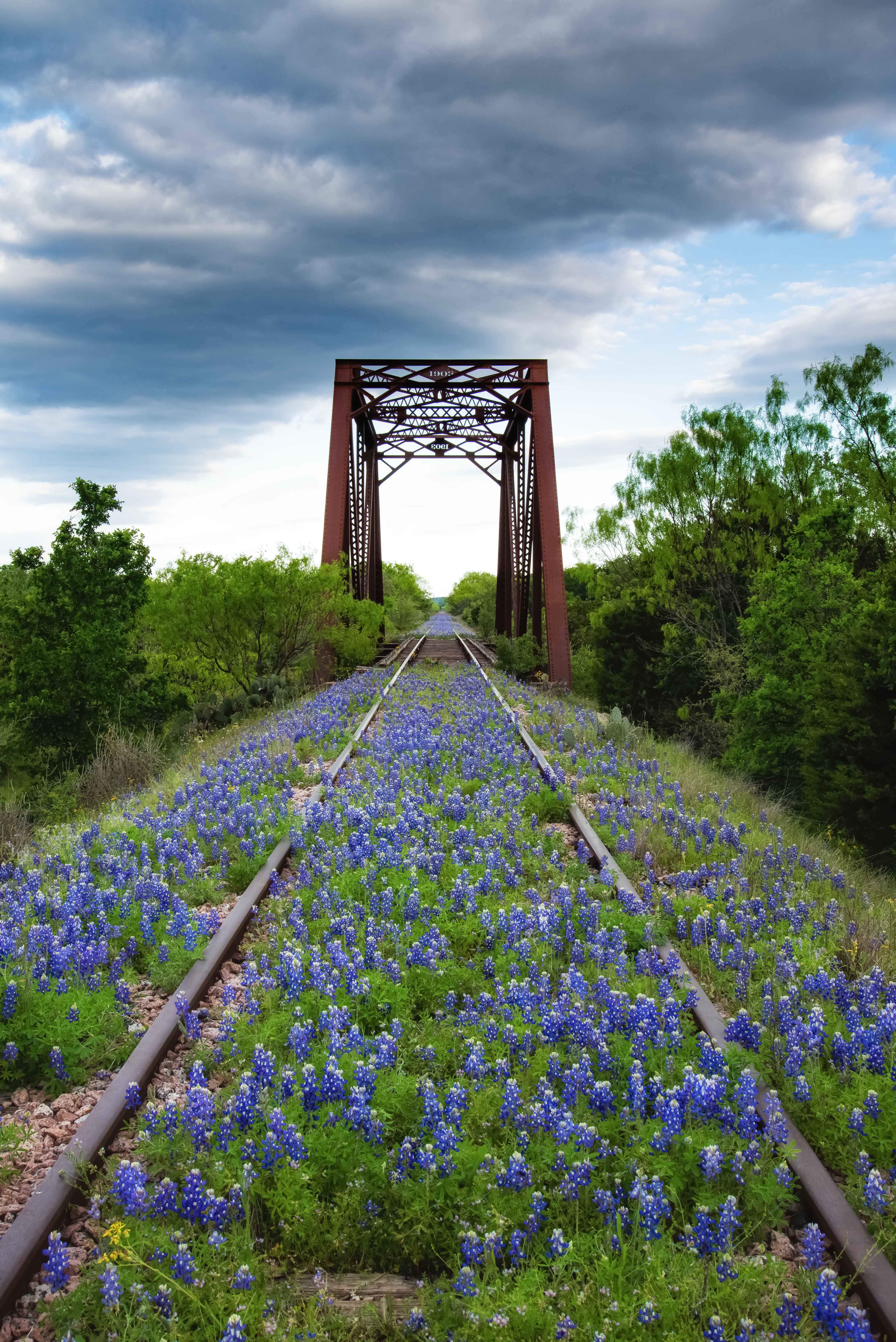 Bluebonnet Trestle