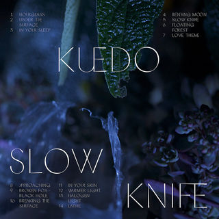 KUEDO, un parcours de précurseur.