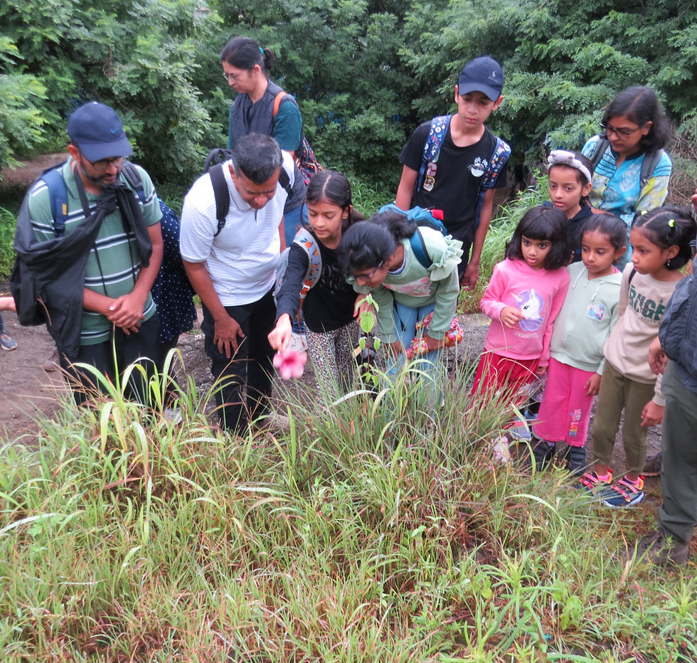 Mahatma Tekdi - Nature Discovery Walk