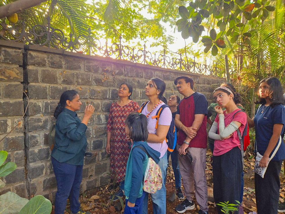 Durga Tekdi, Nigdi-  Nature Discovery Walk