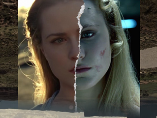 On The Duality Of Westworld