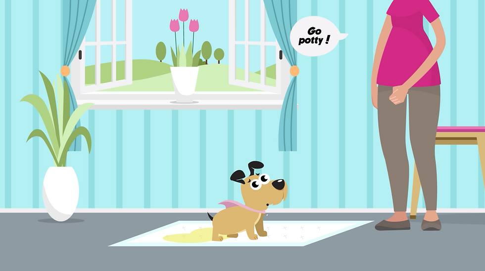 [2] Toilet Training 1