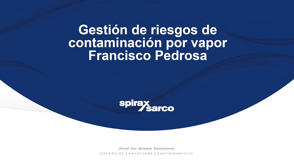 Calidad del Vapor : Gestion de Riesgos de contaminación por Vapor