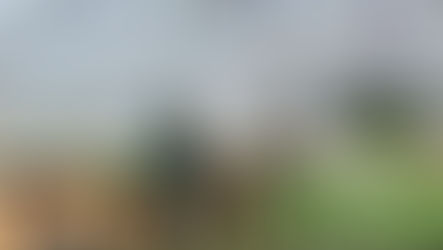 Planting the Seeds of Food Security and Ecological Education on Gabriola