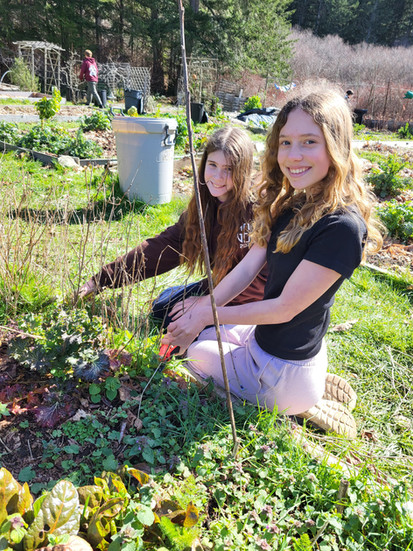 students in the garden