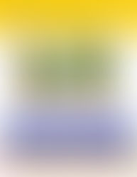 ACTIVITIES FOR SUMMER SKILL DEVELOPMENT