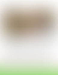 ENCOURAGING FREE PLAY