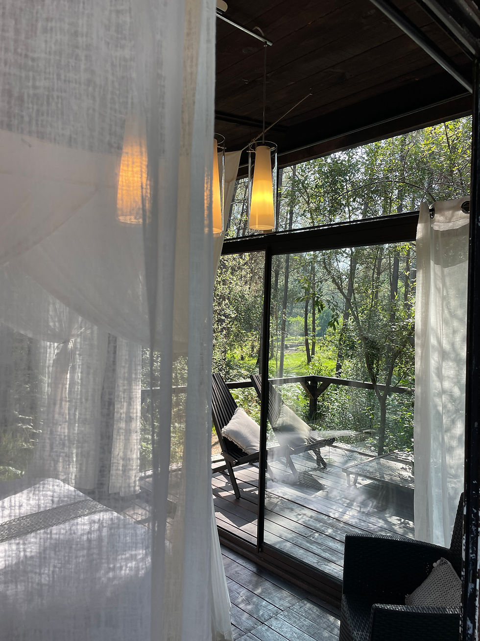 Séjour bien-être en cabane avec spa privatif – Nouvelle-Aquitaine