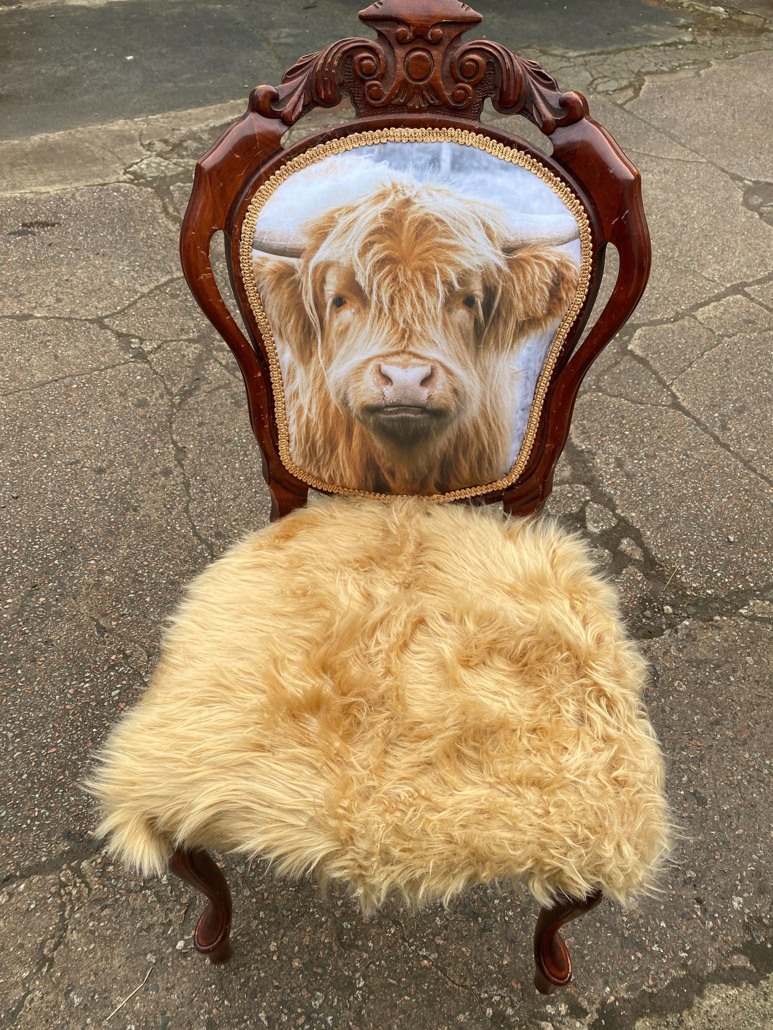 Highland Cow Chair