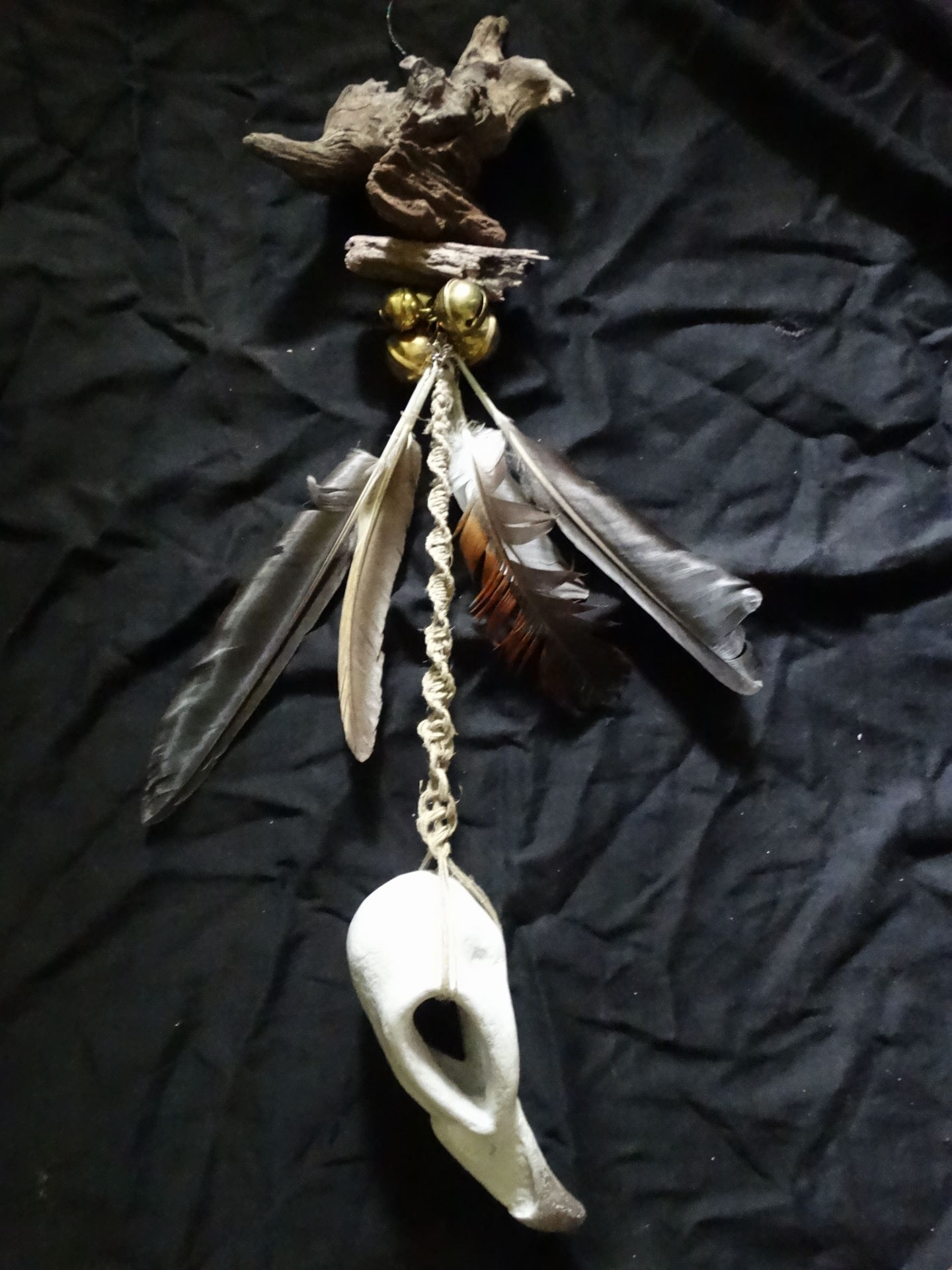 Type rapace