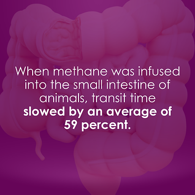 Methane Statistic