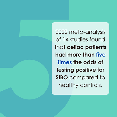 2022 meta-analysis of 14 studies found that celiac patients had more than five times the odds of testing positive for SIBO compared to healthy controls.