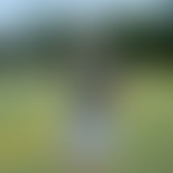 Evans steps away to lead SportsKlub off the field