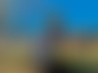 Local haunts, activities are a real treat for Orillia Halloween lovers