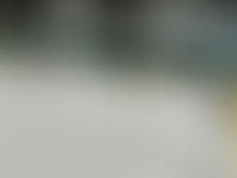 Roof leak postpones Arena Series