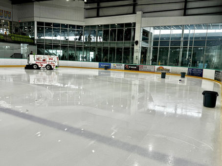 Roof leak postpones Arena Series