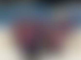 Ice Llamas playing pickup style hockey in Orillia