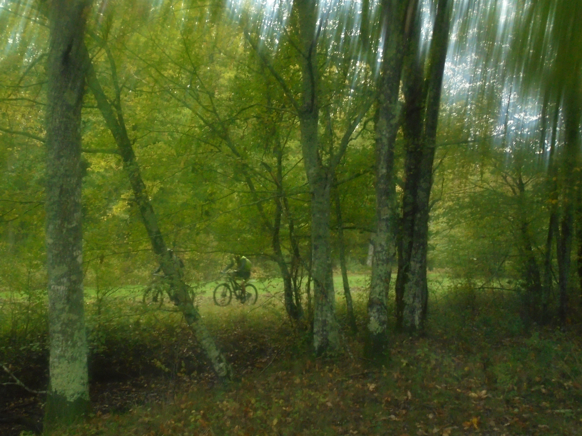 DSC00676