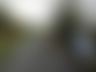 FIN DE LA SAISON PROMENADE