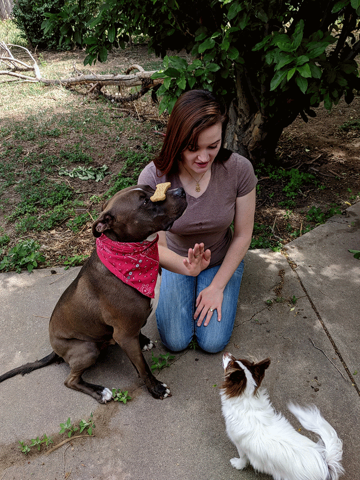 Zelda high five and Bodhi's balance