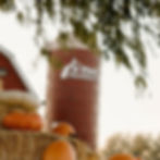 Thumbnail: redbarn with pumpkin