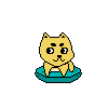 打卡.gif