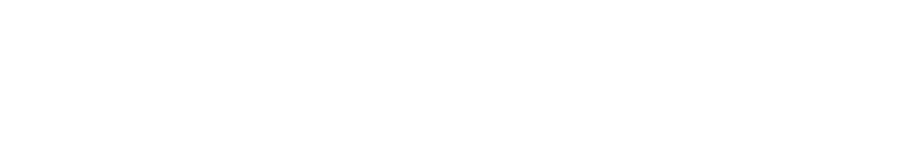 we-optimizz-logo-white