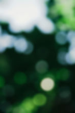 Groene en witte bokeh-achtergrond met onscherpe lichten en kleuren