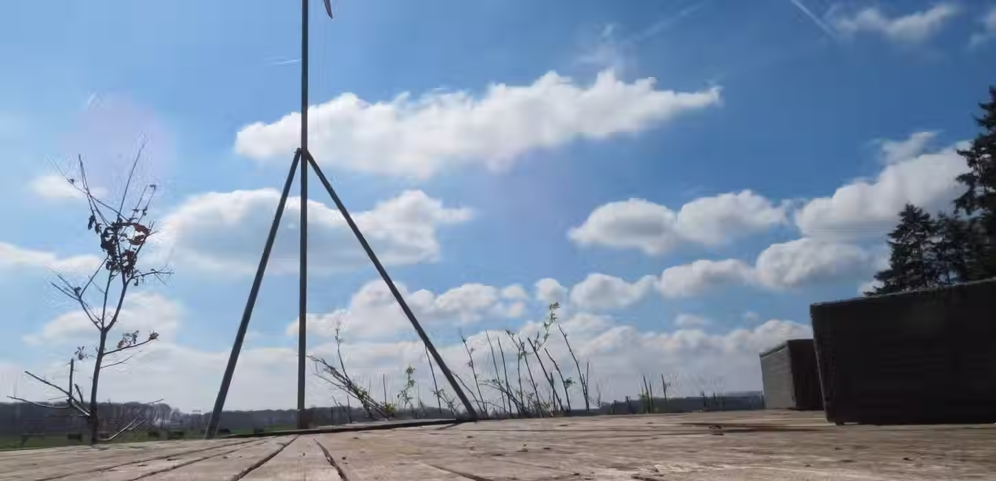 Magic Mushrooms Retreats Nature Temple 