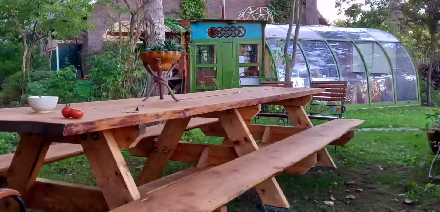 Magic Mushrooms Retreats Nature Temple 