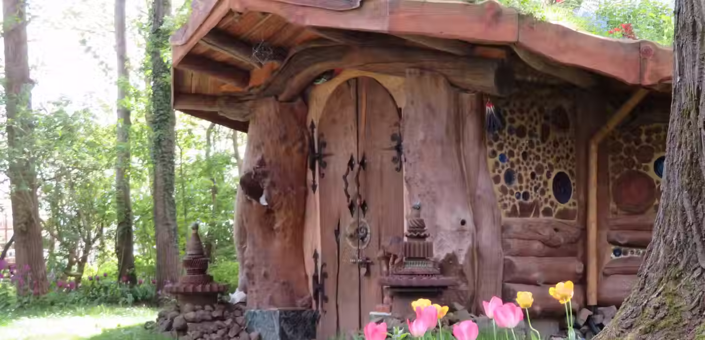 Magic Mushrooms Retreats