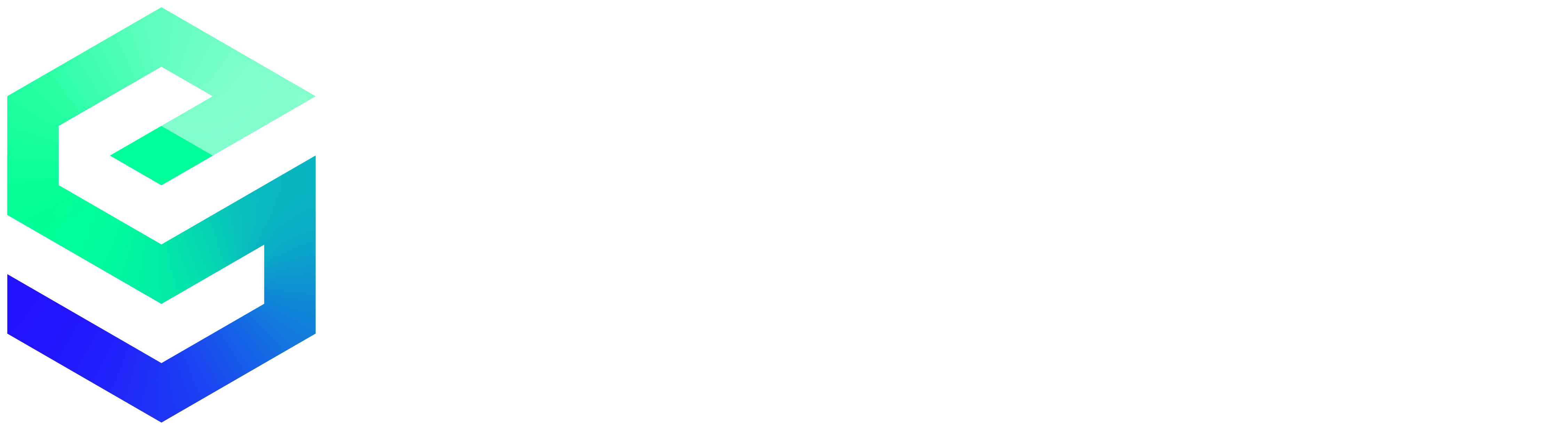 SE-Optimizz logo for new Wix studio website