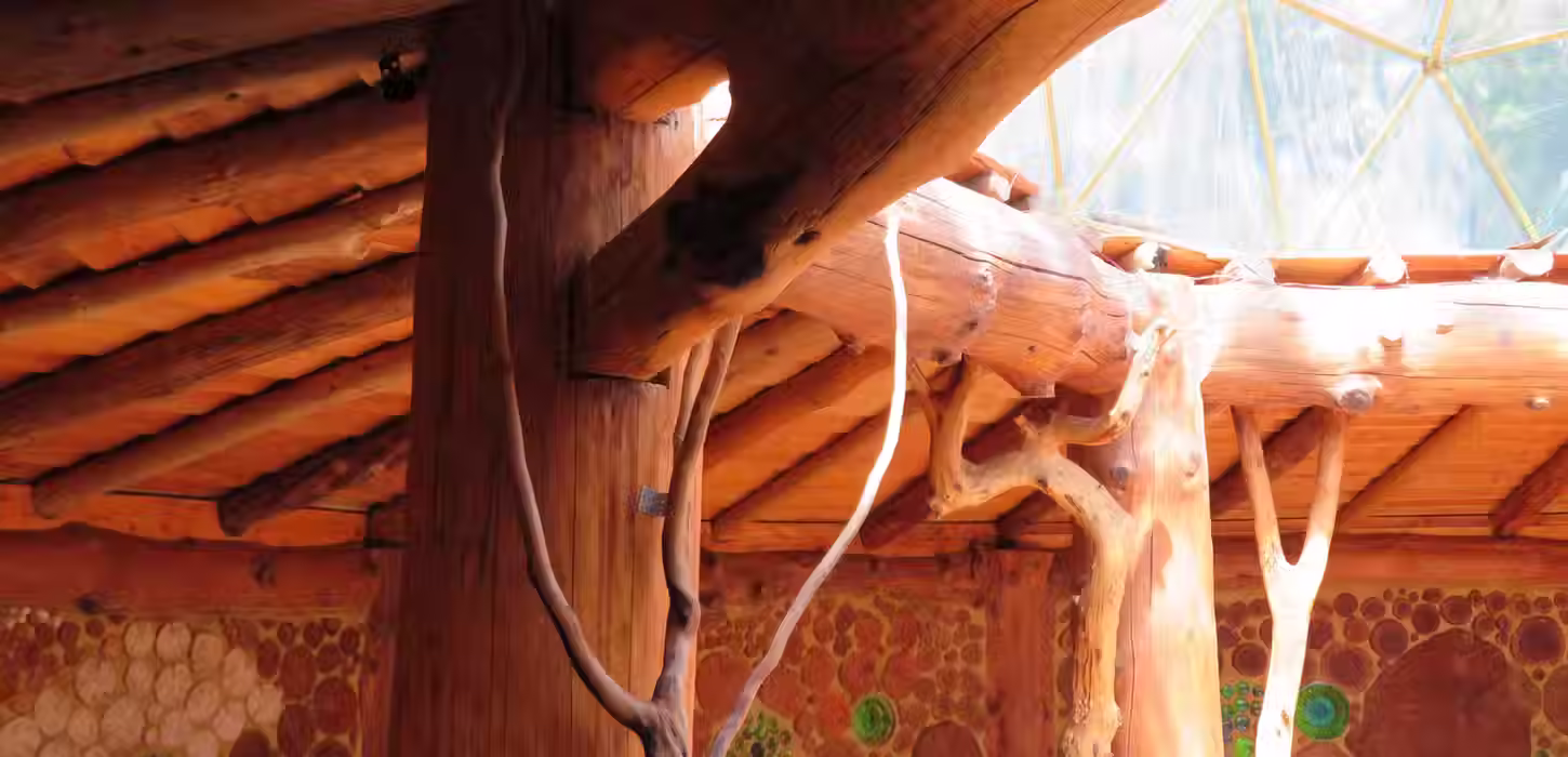 Magic Mushrooms Retreats Nature Temple 
