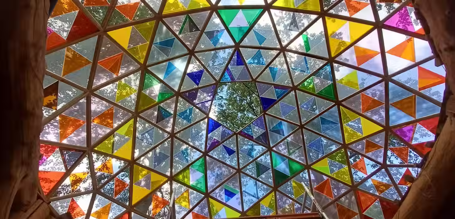 Magic Mushrooms Retreats Nature Temple 