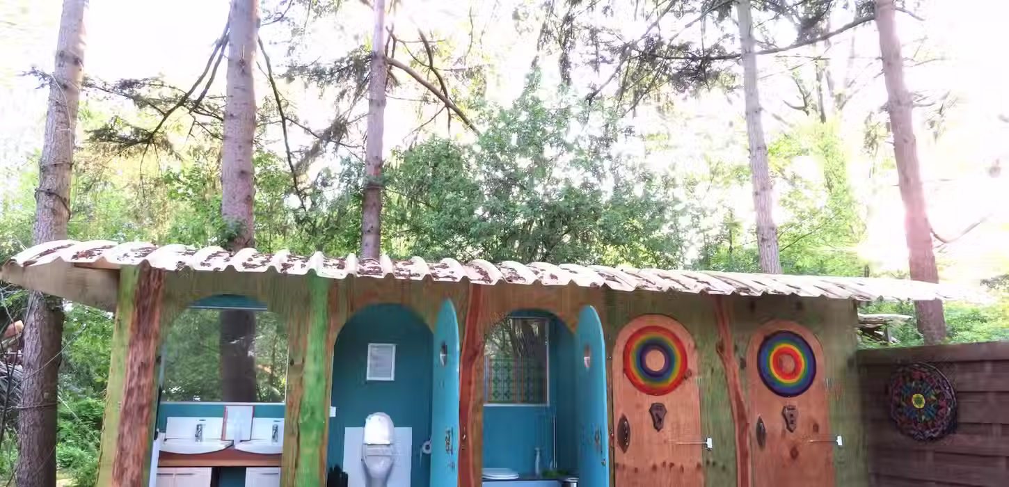 Magic Mushrooms Retreats Nature Temple 