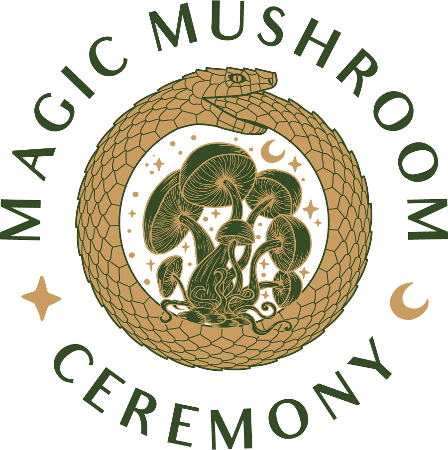 Magic mushroom retreat new logo designed by WE-Optimizz