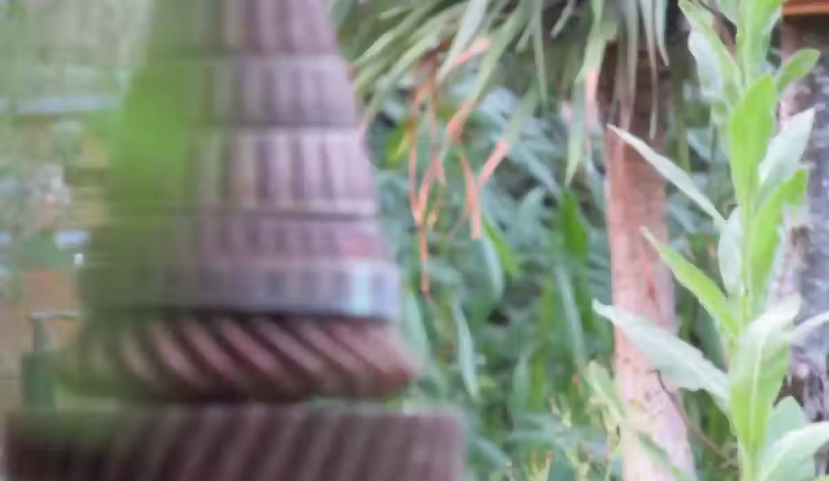 Magic Mushrooms Retreats Nature Temple 