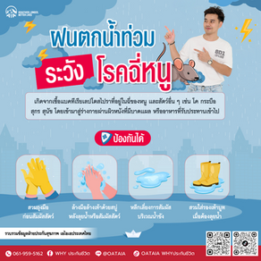 โรคฉี่หนู รุนแรง ถึงขั้น “ตัวเหลือง ตาเหลือง”