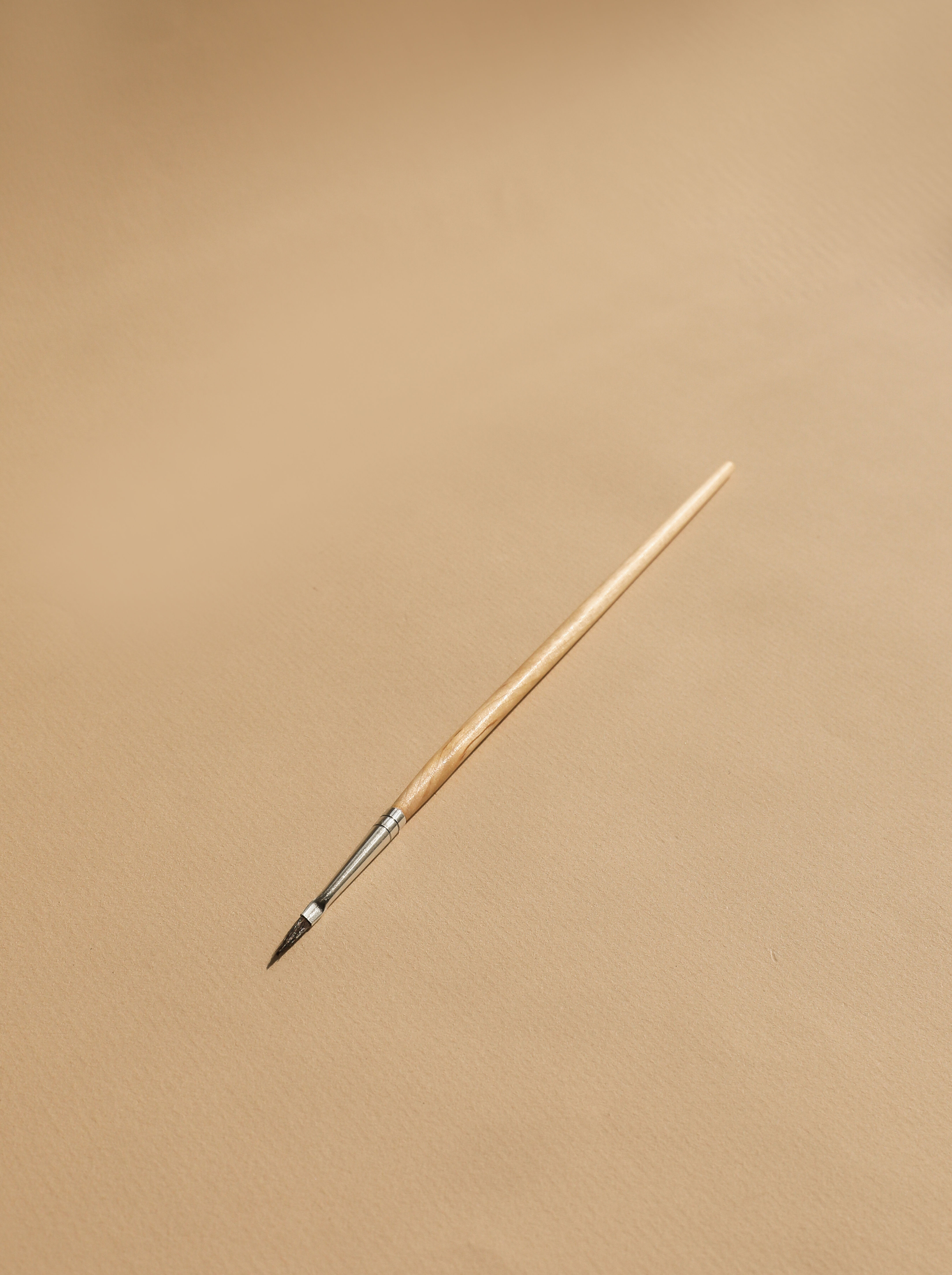 Long Pole Paint Brush 1 Pcs