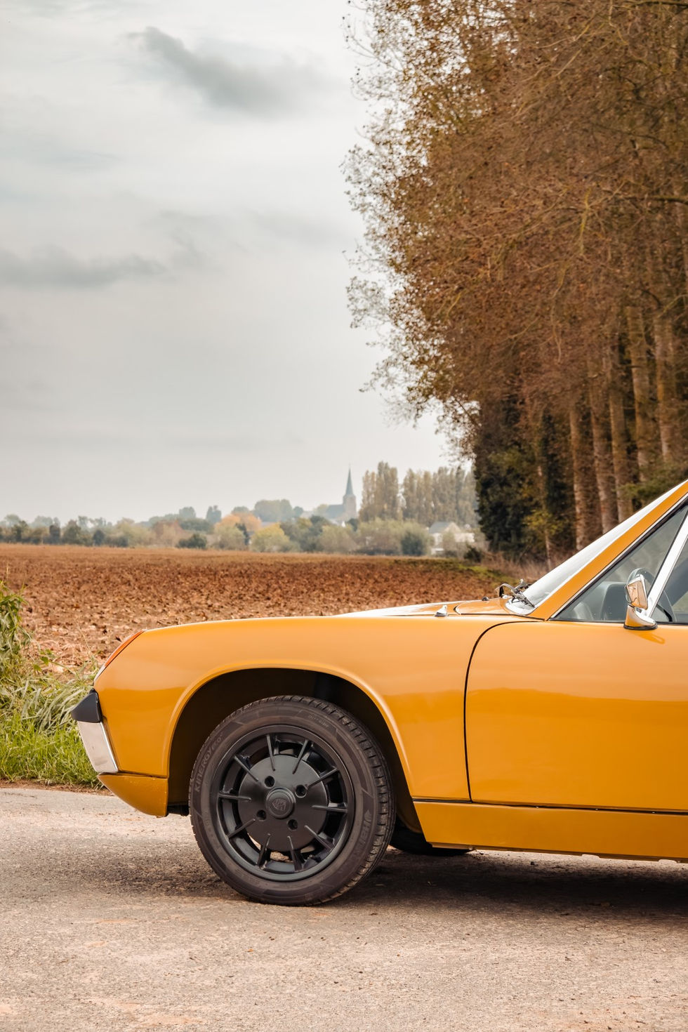 IMG_0104-Enhanced-NR-Edit (Groot).jpg