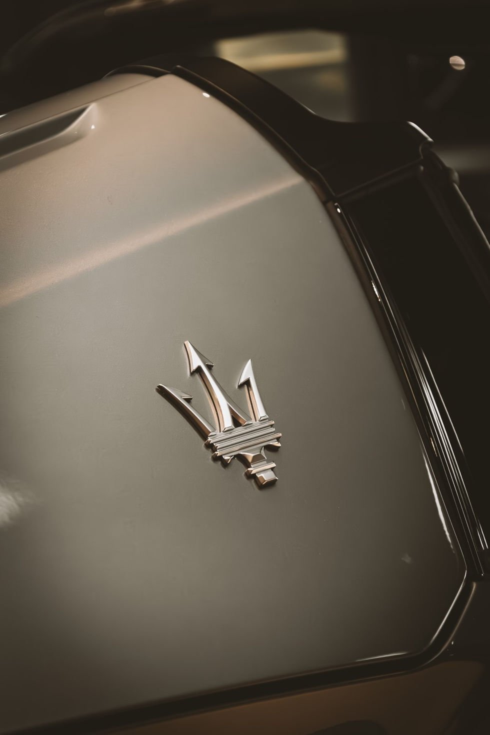 L53A3710-Enhanced-NR (Groot).jpg