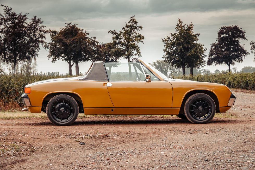 IMG_0230-Enhanced-NR-Edit (Groot).jpg