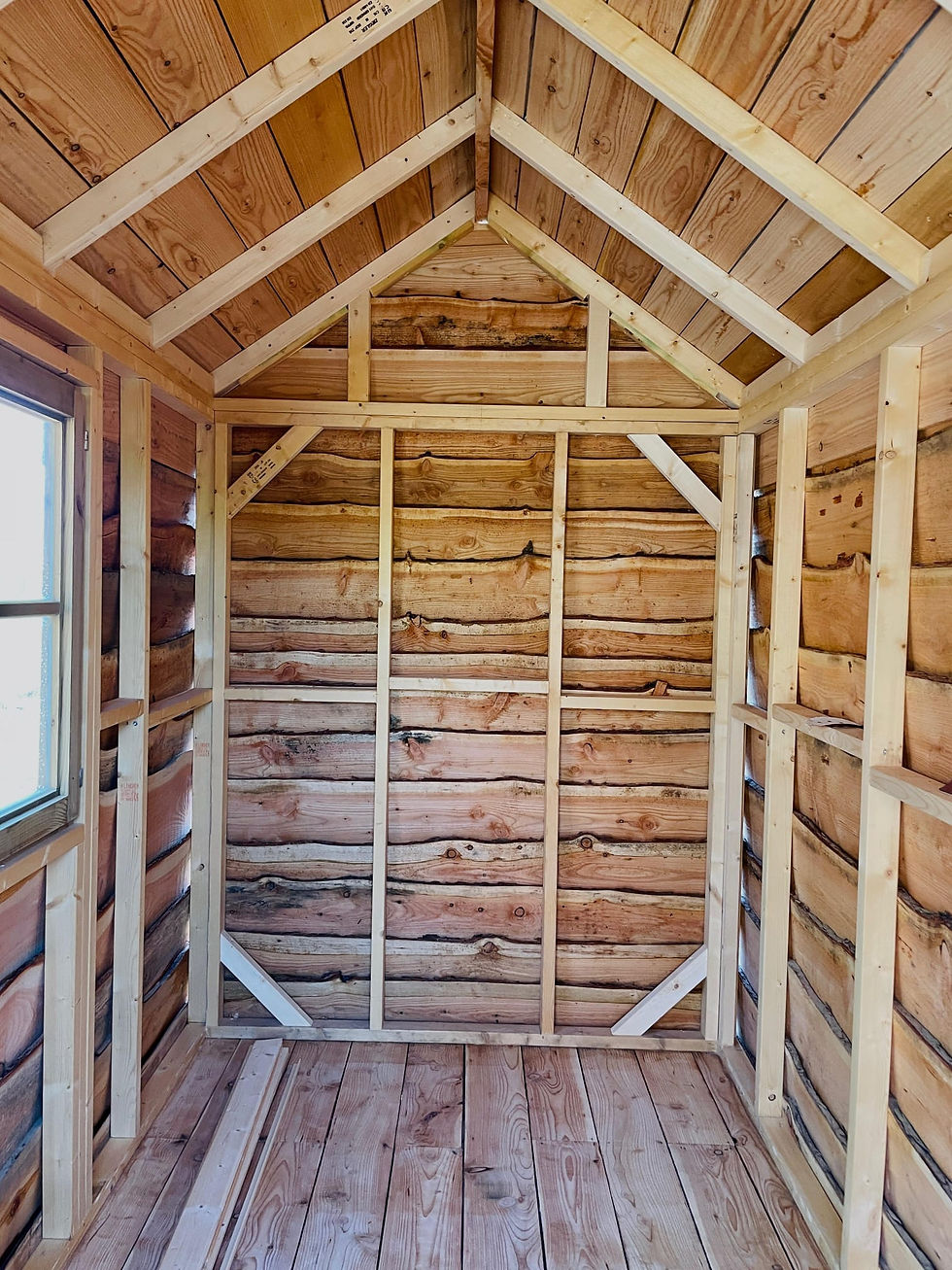 WhatsApp Image 2026-01-05 at 12.52.41.jpeg