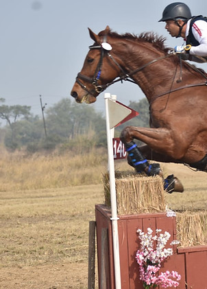 Equestrian